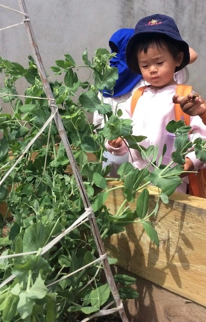 Empowering Future Generations: Best Practices for Sustainability in Childcare